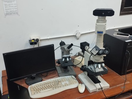 Mikroskop Optik